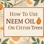 How To Use Neem Oil On Citrus Trees The Ultimate Guide